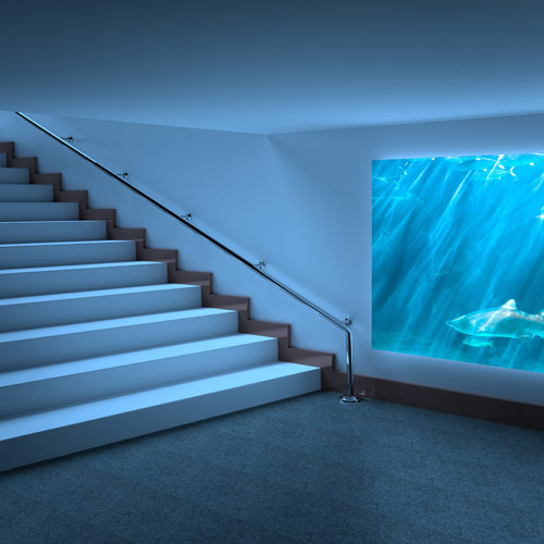 Expert conseil en aquariophilie