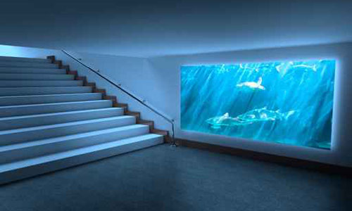 Installation d'aquariums