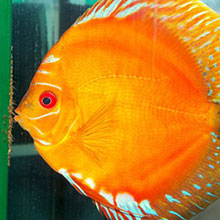 Gallerie - H²O Design inc.